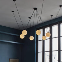 Acrobates de Gras N°325