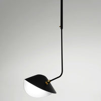 Curved Library Ceiling Light