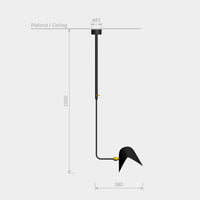 Curved Library Ceiling Light