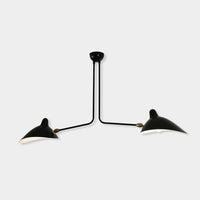 Ceiling light 2 fixed arms